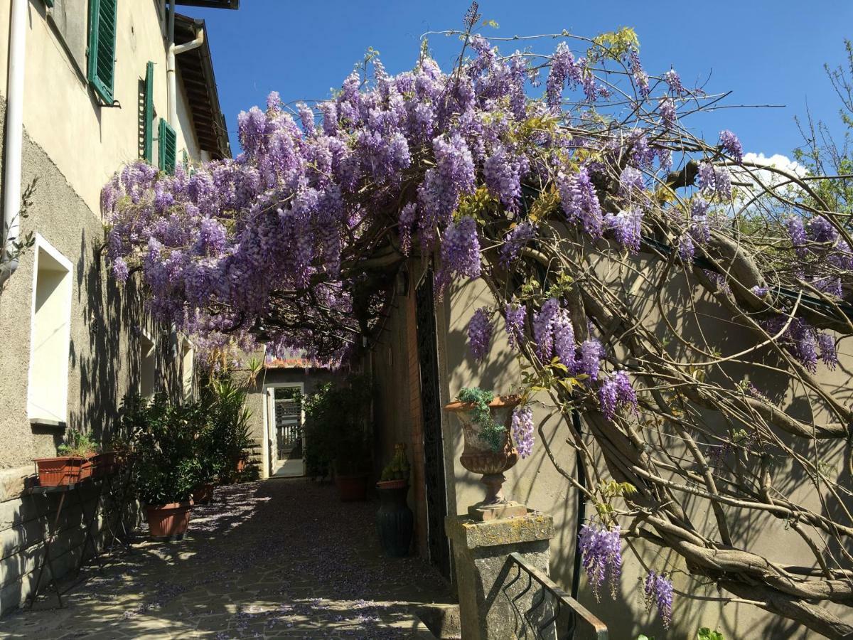 Villa Baronzola Montevarchi Exterior photo